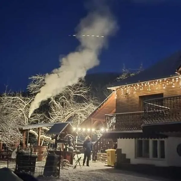 Pensiunea Casa Butnarului, hotel v destinaci Geoagiu de Sus