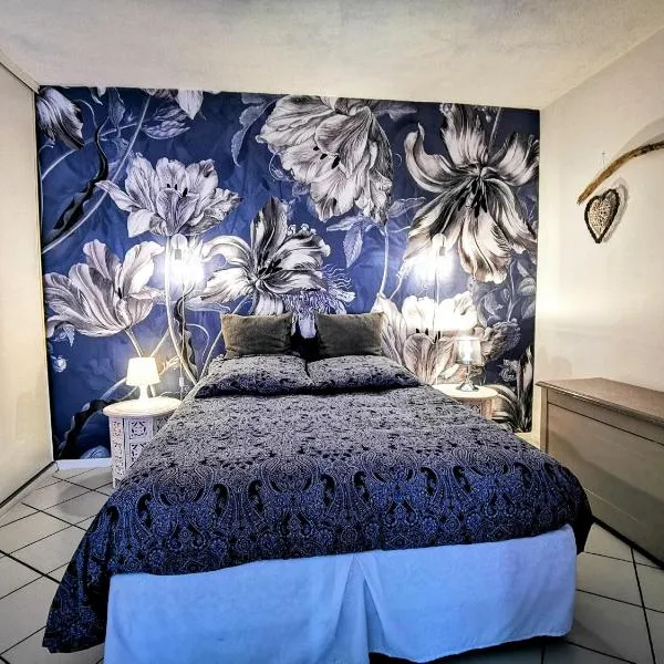 La Bulle Bleue - Parking-Terrasse-aéoport-MEET, hotel in Blagnac