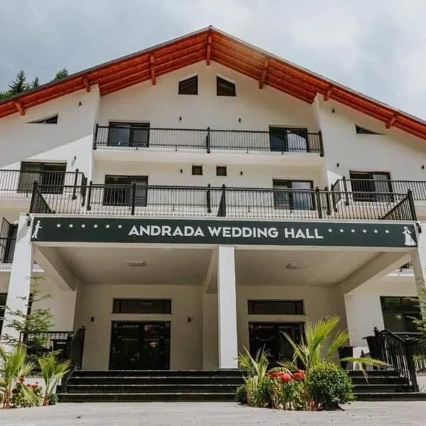 ANDRADA WEDDING HALL, khách sạn ở Repedea