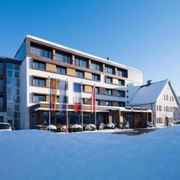 Hotel Weisses Kreuz, hotel in Feldkirch