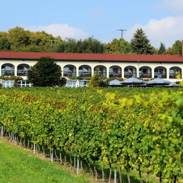 Hotel Rebschule, hôtel à Freyburg