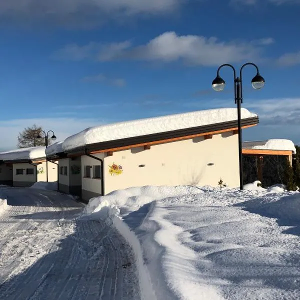Alice, hotel v destinaci Castello Tesino