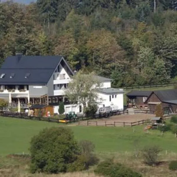 Ginsberger Heide, hotel v destinaci Hilchenbach