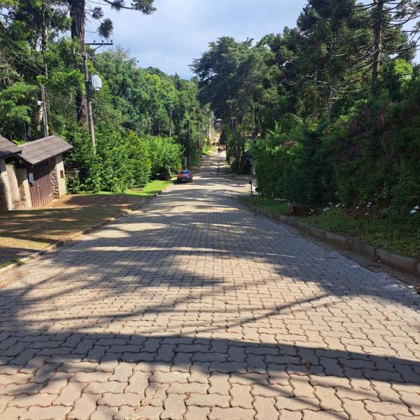 Canto da Floresta