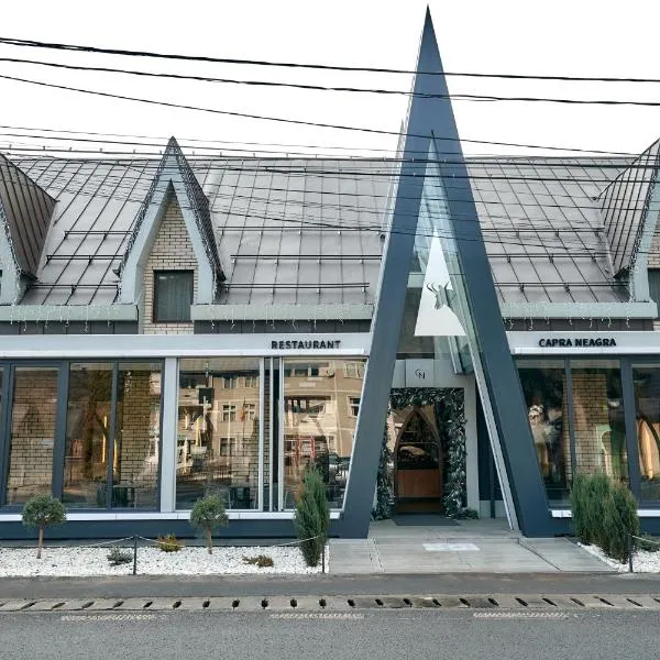 PENSIUNE RESTAURANT CAPRA NEAGRA, hotel v destinaci Moisei