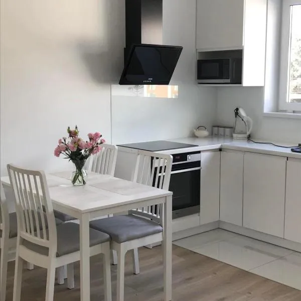 Apartament IGA, hotel in Biała Podlaska