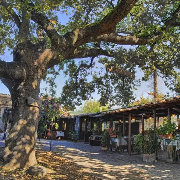 La Vecchia Quercia, hotel in Stimigliano