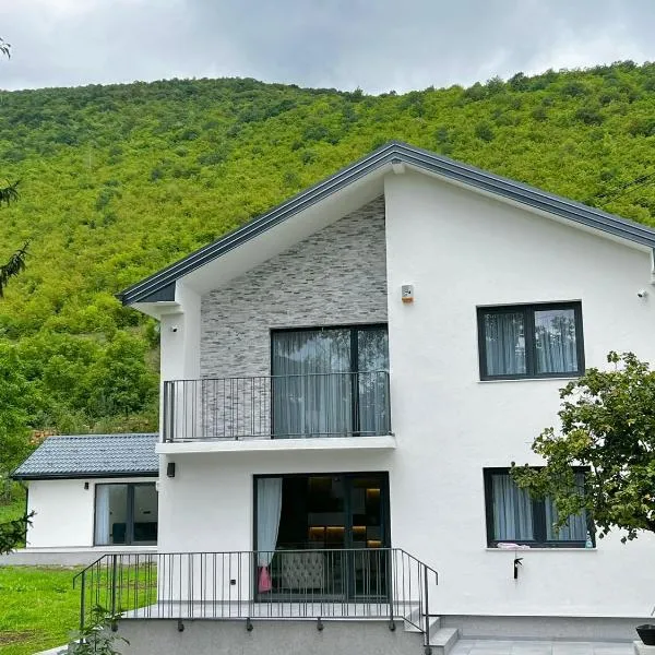 Villa Coral, Hotel in Vrelo Bosne