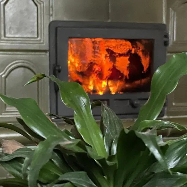 Erelia Cottage, Hotel in Bük