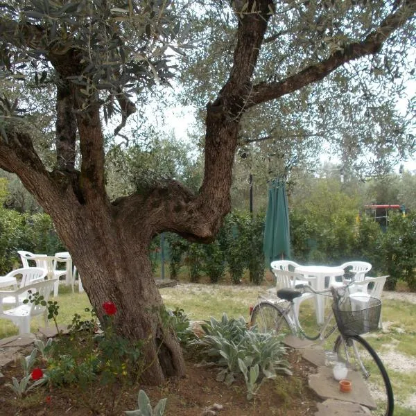 Casa Degli Ulivi, hotell i Gallicano nel Lazio