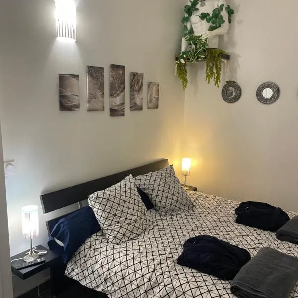 Chambre agréable avec jacuzzi, hotel in Marseille