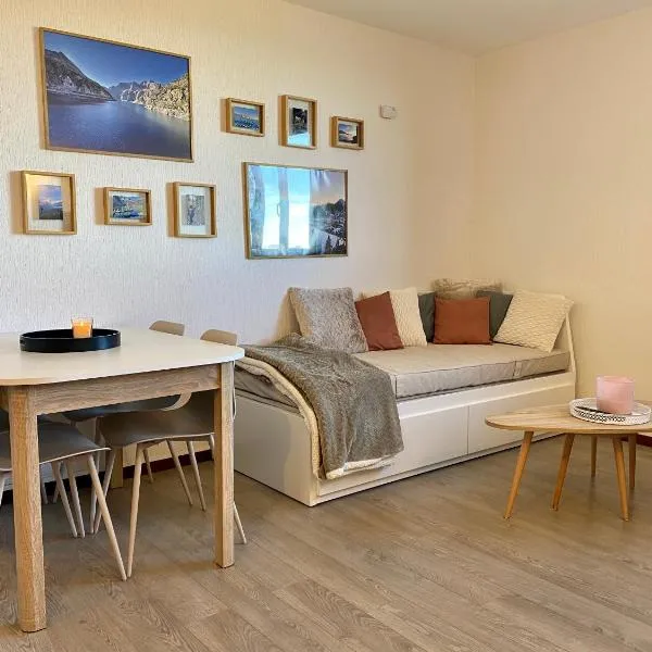 Suite au pied des pistes - Pla d'Adet – hotel w mieście Saint-Lary-Soulan
