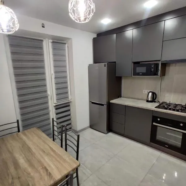 Oazis apartments，位于切尔诺夫策的酒店