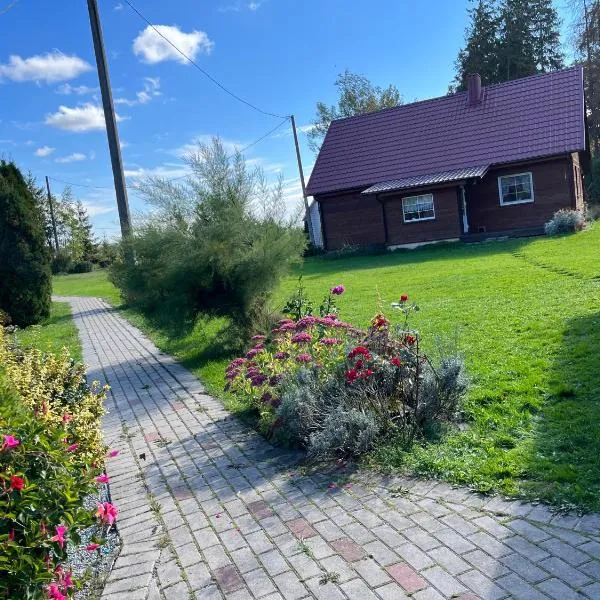 Rojaus kampelis. Kaimo turizmas, hotel in Gudžiūnai