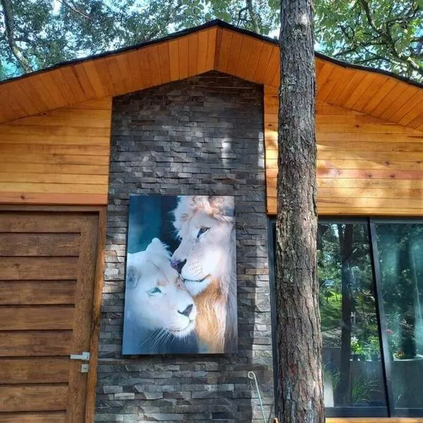 Cabaña Nala de lujo para parejas, ξενοδοχείο σε Mazamitla