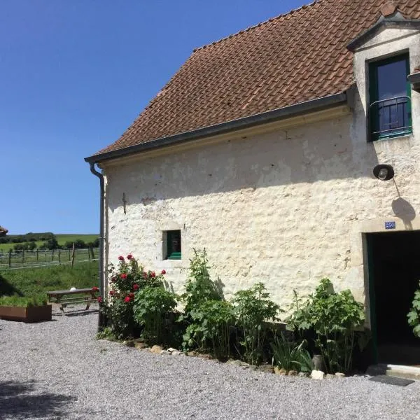 Le Big Family - LE MONT DE LA LOUVE, Hotel in Bazinghen