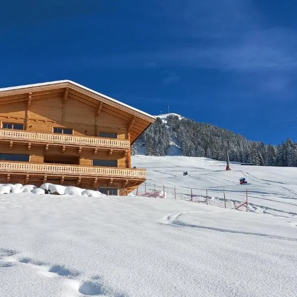 Bauernhof Streitenau, hotel in Hopfgarten im Brixental