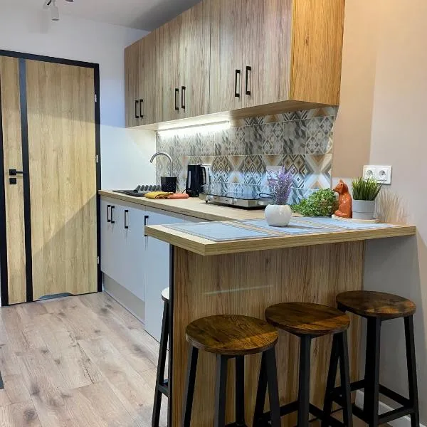 Apartament w sercu miasta, hotel in Radom