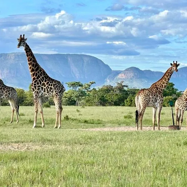 Vilagama Game Lodge，納布姆斯普雷特的飯店