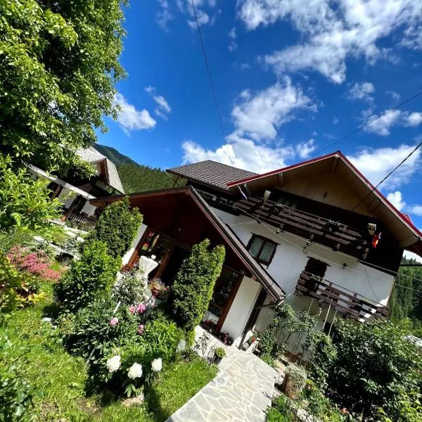 Pensiunea Bradet, Hotel in Broşteni