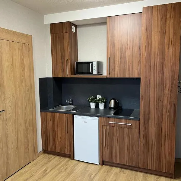 Apartamenty Polna 60, hotell i Żory