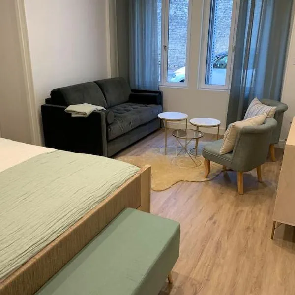 Appartement chaleureux, hotel v Dijonu