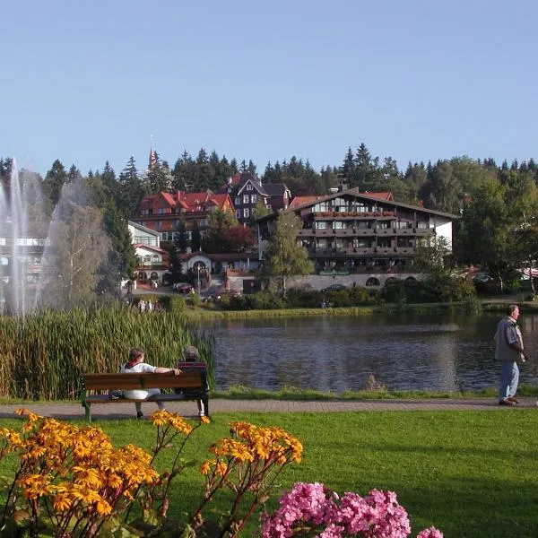 Hotels am Kranichsee, hotel di Hahnenklee Bockswiese