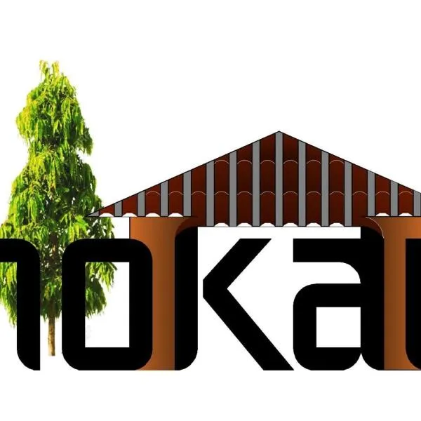 Apartamentos Nokal, hotel v destinaci Masaya
