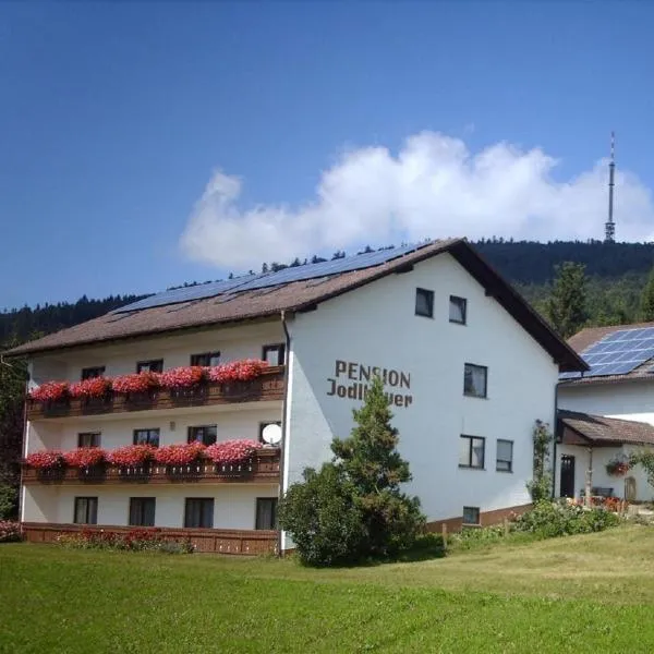 Pension Jodlbauer, hotel v destinaci Schöllnach