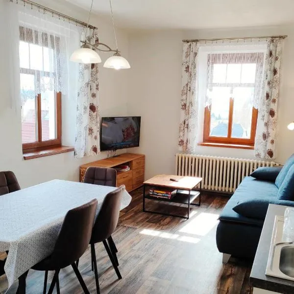 Penzion Šumava - APARTMÁN, hotel v destinaci Horní Planá