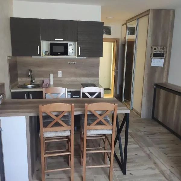 BELE STAZE 18 - BRZEĆE KOPAONIK, hotel in Brzeće