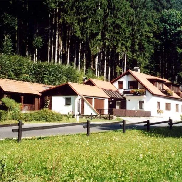 Penzion Macocha, hotel in Holštejn