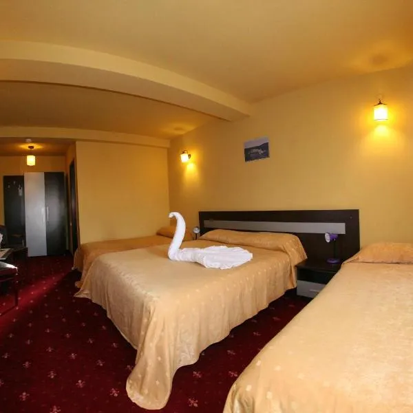 Pensiunea Oficial, hotel v destinaci Prejmer