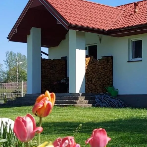 Wygodny Dom na Ponidziu z Basenem, hotel di Odonów