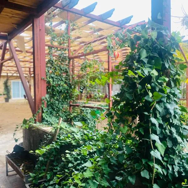 Green houseجوهره الشمال, hotel in Ajloun