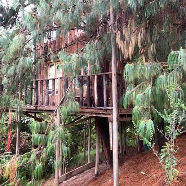 Cabin at Blueberry Farm, hotel v destinaci Subachoque