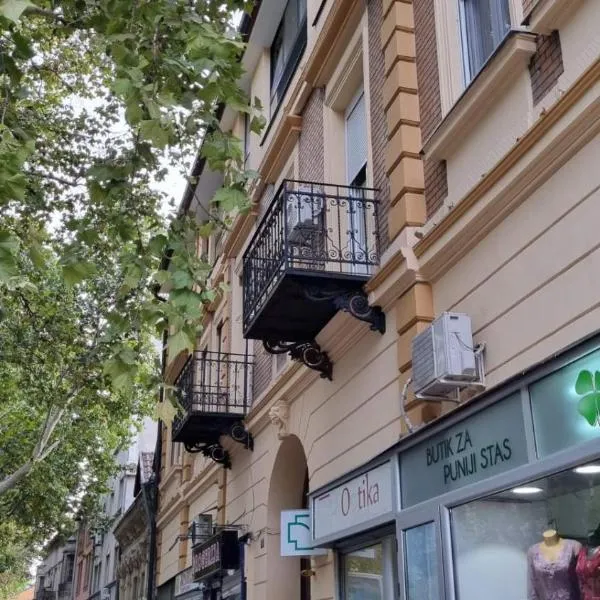 노비사드에 위치한 호텔 Little Sony Apartment