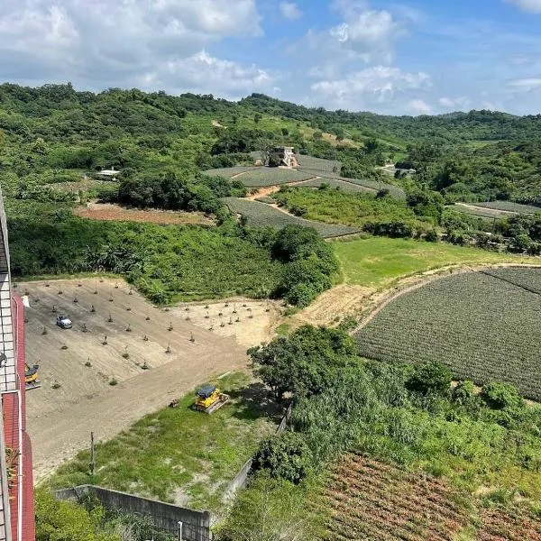 鳳梨之家, hotel in Ligang