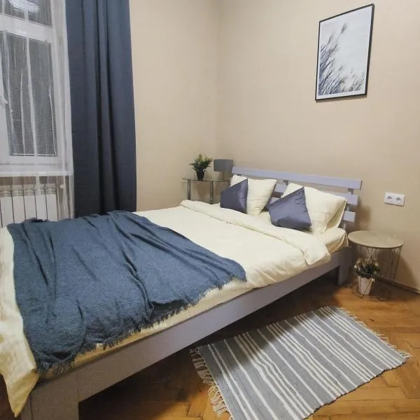 В центрі м.Чернівці 2 кімнатна затишна квартира., hotel in Chernivtsi