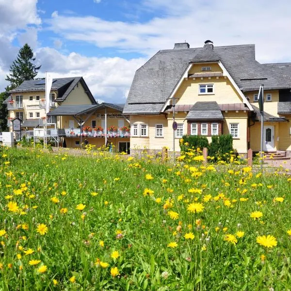 Gaststätte & Pension Waldschlösschen, hotel v destinaci Oberhof