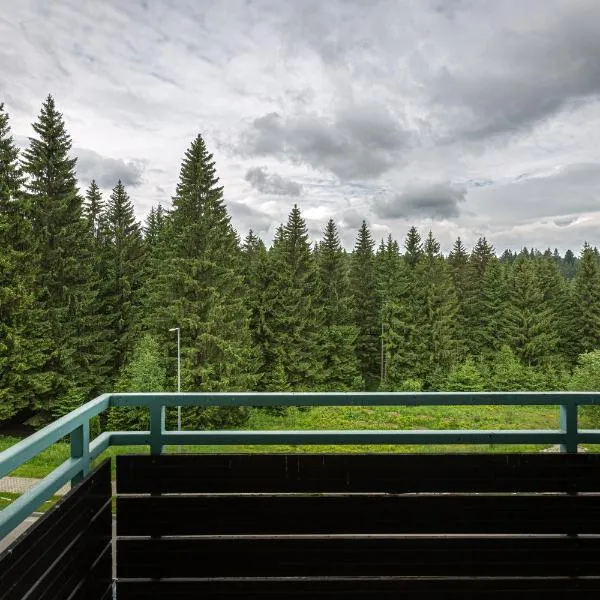 Cold Mountain Apartment in Silver Mountain Resort, khách sạn ở Poiana Brasov