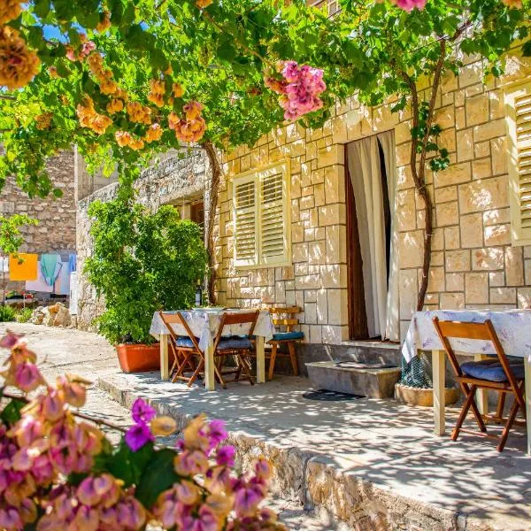 Stone House Dioniz, hotel in Brnistrova