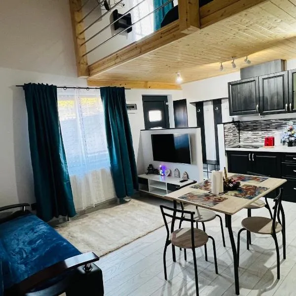 Reny's Studio Apartments -Hiperbara, hotel en Livezeni