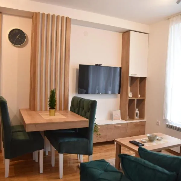 Apartman LUCIJA 9D57 Kraljevi Cardaci、コパオニクのホテル