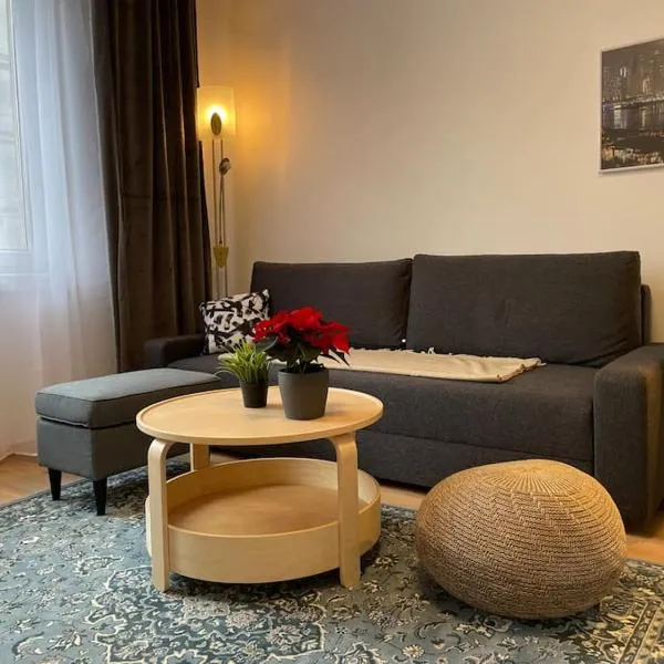 빈에 위치한 호텔 Charming Apartment near City Center