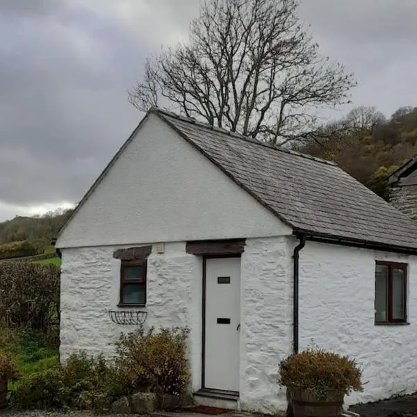 Y Llew Bach, the tiny house, hotell i Gwytherin