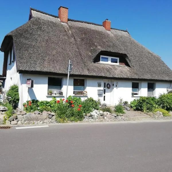 Stubnitz, hotel in Hagen