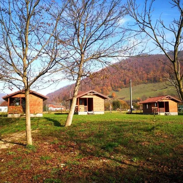 Căsuțe Zăvoi Bulz, hotel in Delureni