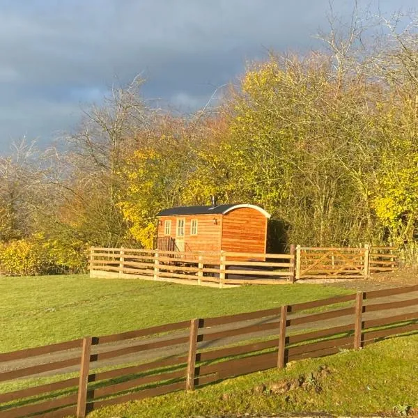 The Snug at Coed Y Gaer, hotell sihtkohas Llandysilio