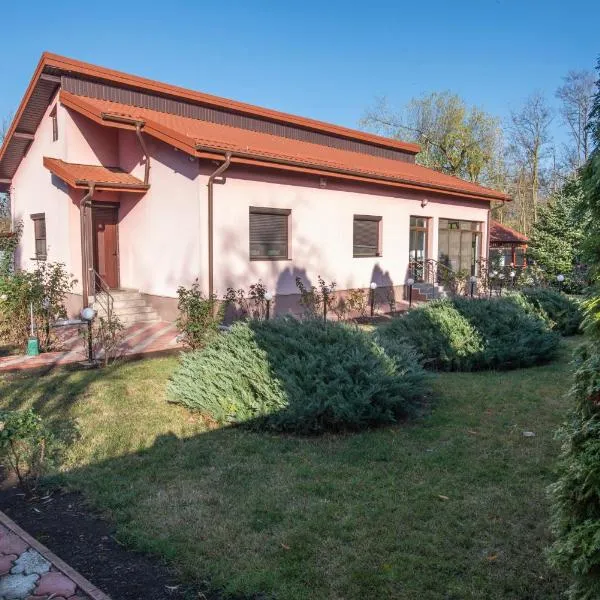 Casa Bițina, hotell i Fierbinți Targ